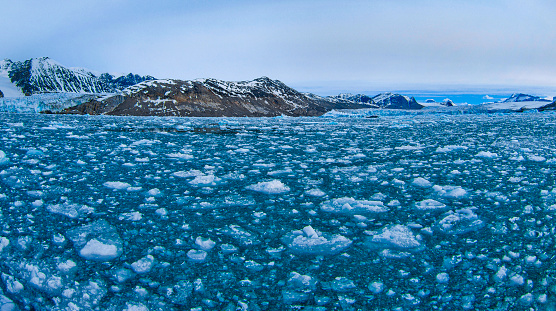 Iceberg, Blue Ice floes, Drift floating Ice, Snowcapped Mountains, Albert I Land, Arctic, Spitsbergen, Svalbard, Norway, Europe