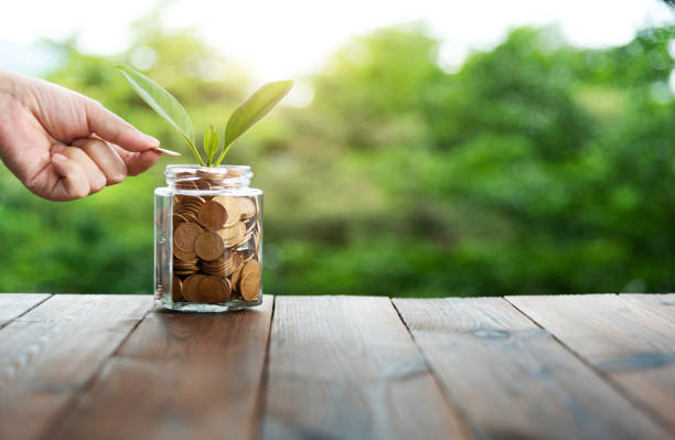 istock Young plant growing from coin jar 2047957462