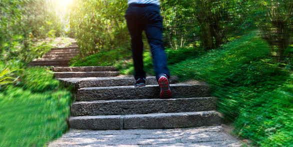 Low section of man running on forest stairs