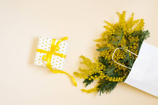 istock Yellow mimosa flowers frame with gift box. Womans day, easter , spring composition. Top view with copy space 2047981500