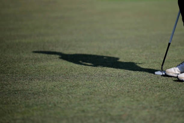 Golf Lessonn Shadow 1,500+ Golfer And Shadow Stock Photos, Pictures & Royalty-Free Images ...