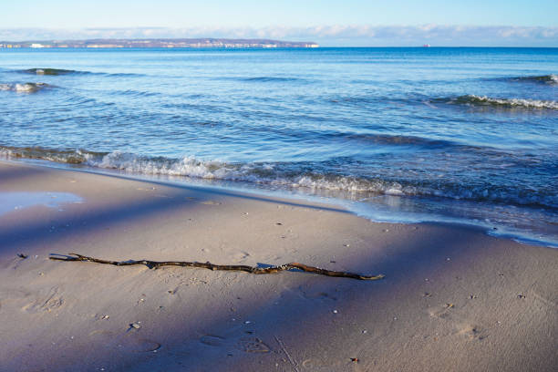Seascape background picture