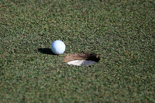 Close up of a white golf ball in a branch fork. Foreground ball and structure of the branches, moss and leaves. Background blurred bushes and meadow. No persons.