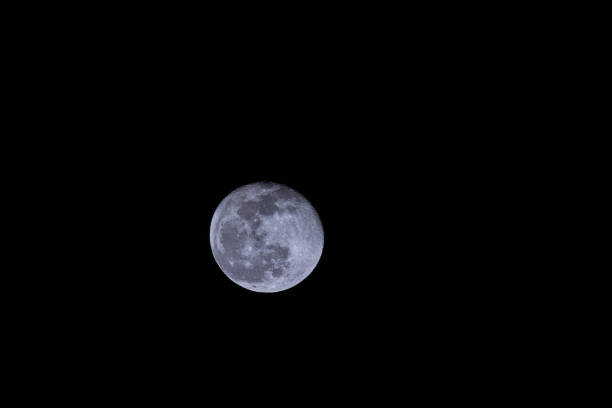Moon in the winter night sky