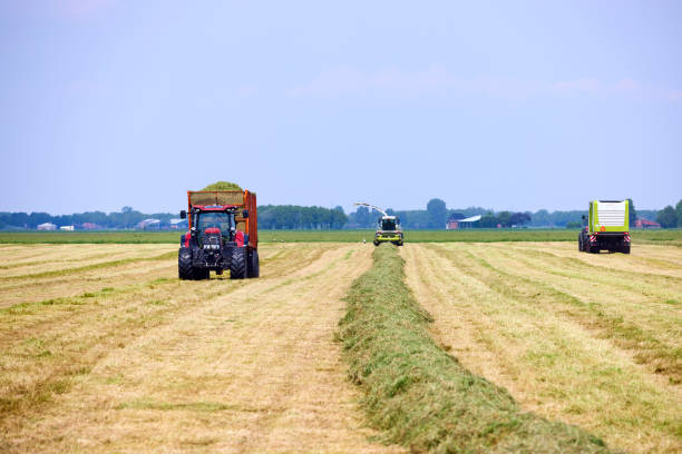 istock Harvest grass with agricultural vehicles 2048034369
