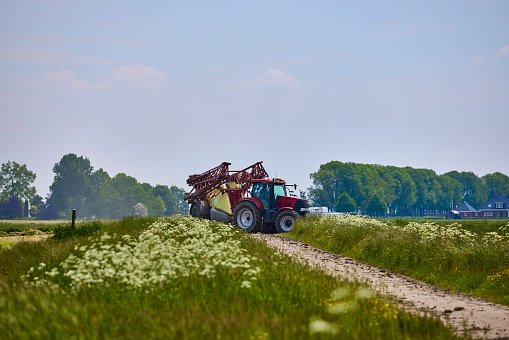 A tractor works the Agriculture Field with pesticides, on a sunny day.