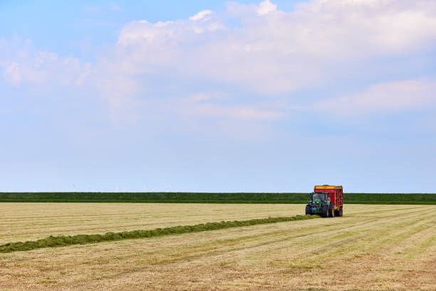 Harvest grass with agricultural vehicles on a sunny day