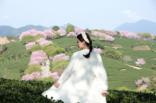 Woman walking on a hill full of cherry blossoms