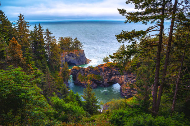Lush greenery surrounds a natural rock arch over a coastal inlet in Samuel H. Boardman State Scenic Corridor in Oregon, USA. Majestic sea stacks and dense forests dominate the landscape at this park.