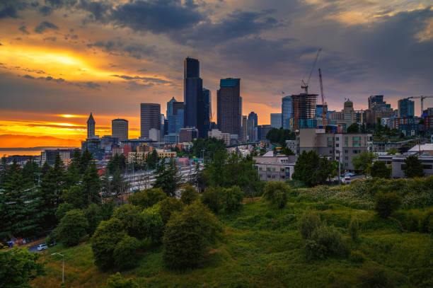 Dramatic sunset over Seattle skyline with visible greenery in the foreground