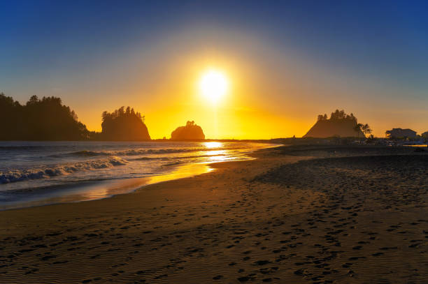 istock Sunset at La Push Beach in Washington State, Olympic National Park Area 2048057415
