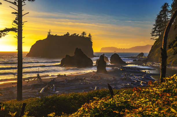 istock Colorful sunset at Ruby Beach in Olympic National Park, Washington state 2048057420