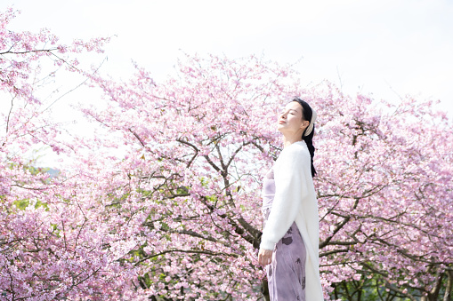 Young woman walking under cherry blossom trees