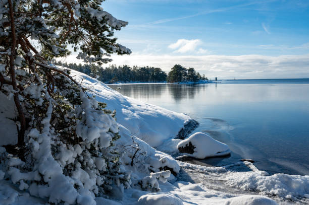 istock Looking through forest out on lake Vattern in February 2048078912