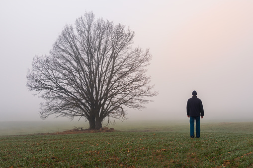 Young man in jacket and trousers walking on agriculture field with lonely tree  in morning fog. Czech landscape, travel, relax concept