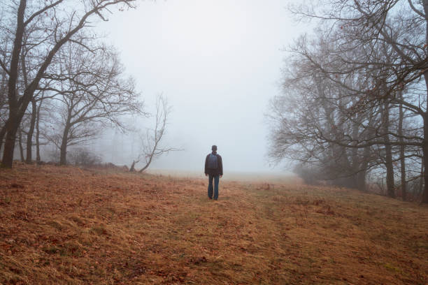 istock Young man in jacket and trousers with backpack walking on forest path  in morning fog. Czech landscape, travel, relax concept 2048082155