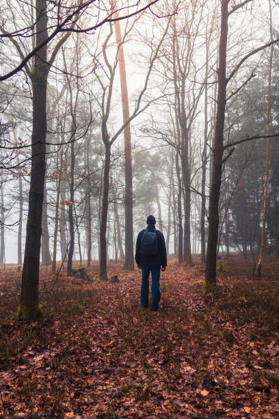 istock Young man in jacket and trousers with bacpack walking on forest path  in morning fog 2048083201