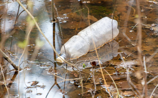 istock A plastic bottle in a pond is like garbage 2048101181