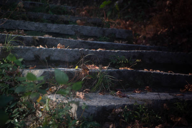 istock A path made of stone steps in a mountain forest 2048104971