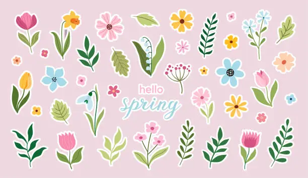 Vector illustration of Floral spring vector stickers