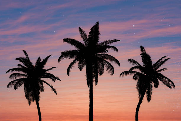 3D rendering of a tranquil scene of the silhouettes of palm trees against a striking sunset sky with hues of orange and pink with soft clouds.