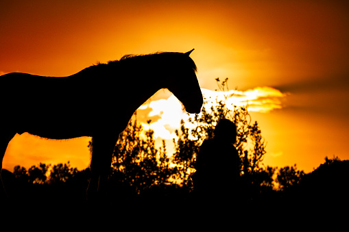 Connection between rider and horse, sunset mood, silhouette photo with great colours of the sun.