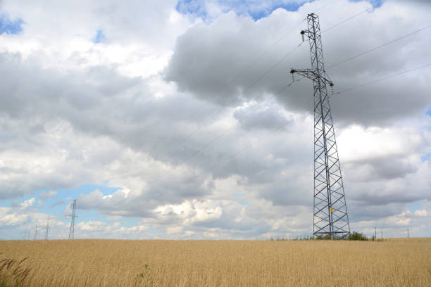 istock wheat field with electric pylon and rainy clouds on background copy space 2048234201