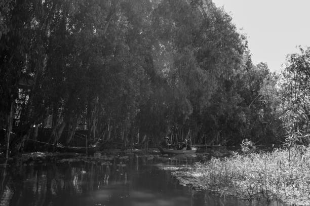 Tra Su Melaleuca forest is about 30 km from Chau Doc, only about 10 km from the border area of Vietnam and Cambodia, planted according to a typical ecosystem model of the flooded area west of Hau River. Coming here, you will not only be attracted by the natural space with shady cajuput forests on both sides, but will also be able to come into close contact with a series of water birds and rare wild animals.