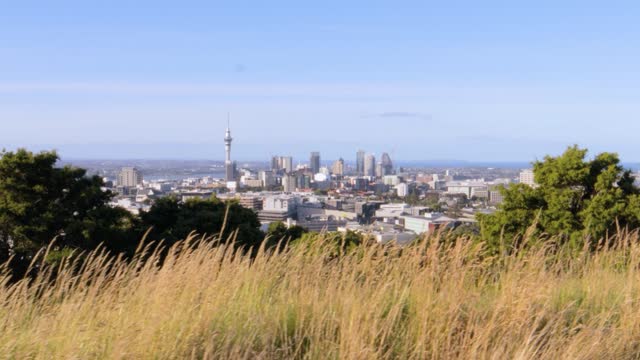 A travelling shot of the Auckland skyline seen from a hill outside the city on a windy and clear day with a blue sky.