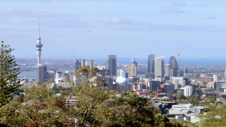 A full and handheld shot of the Auckland skyline in New Zealand seen through the branches of some trees on a sunny and clear afternoon with wind and a blue sky.