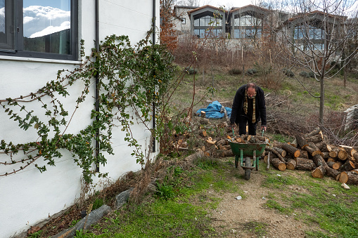 Man in Garden Splitting Logs with Axe. Man carries cut firewood with a wheelbarrow