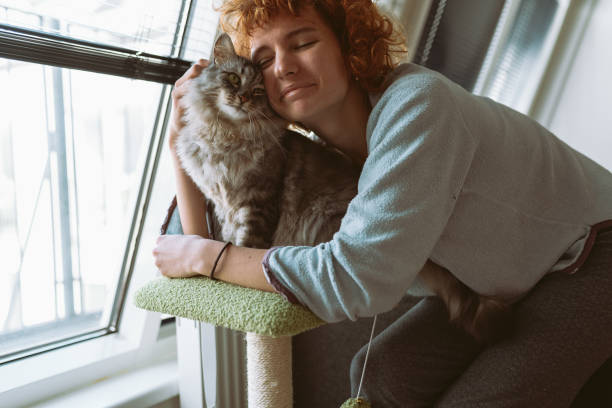 istock cat mom brushes her furry pet 2048302988