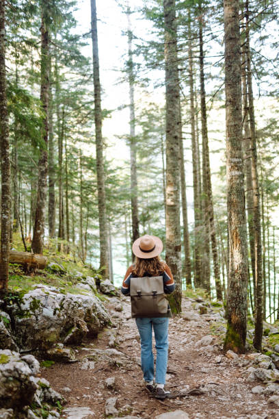 istock Young woman with backpack walking in beautiful  forest. 2048328577