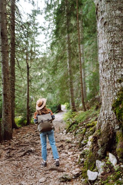 istock Young woman with backpack walking in beautiful  forest. 2048329085