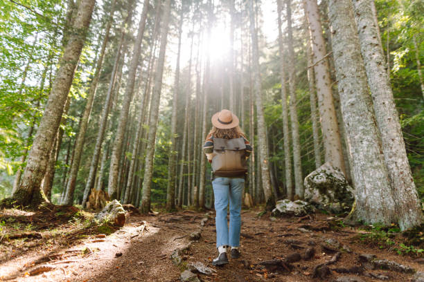 istock Young woman with backpack walking in beautiful  forest. 2048329113