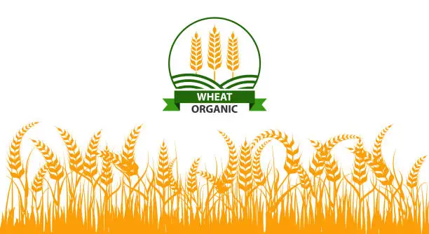 Vector illustration of Organic wheat field vector set