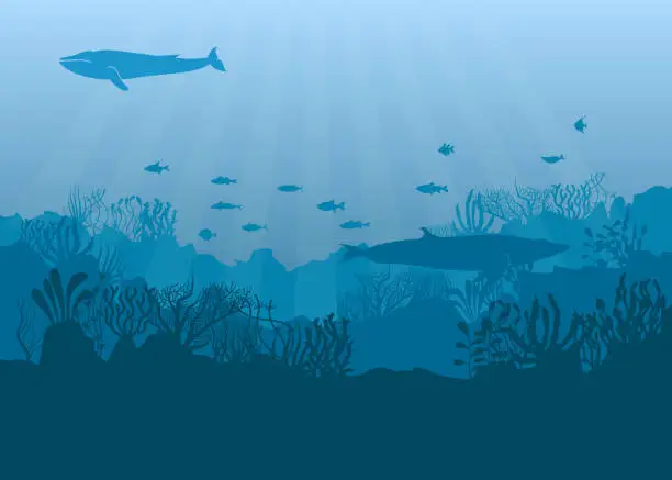 Vector illustration of Under the sea vector background