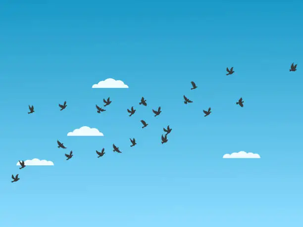 Vector illustration of Birds flying in the blue sky vector illustration