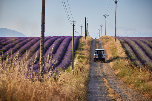 Land rover 4x4 on a small  road next to Lavender field in Provence, France (Plateau de Valensole) on a sunny day in Juni. Next to the road are power cables.
