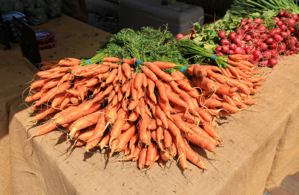 Carrots and Radishes