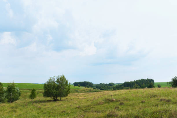 Rural landscape with small ravines in cloudy weather
