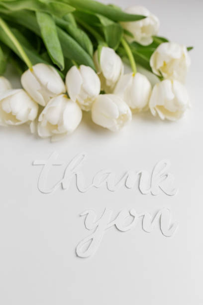 istock White Tulips with Thank You Message on Bright Background 2048384598