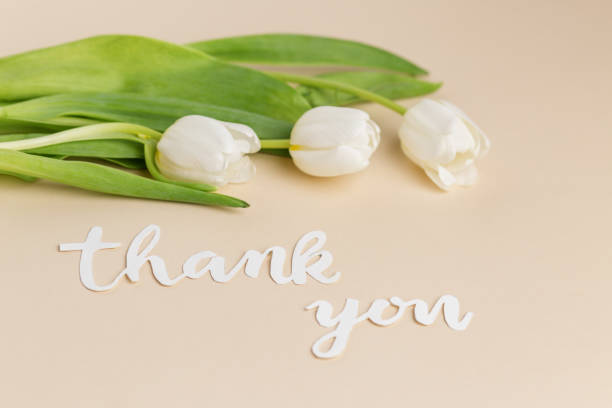 istock Gratitude Expressed with White Tulips and Thank You Note 2048385120