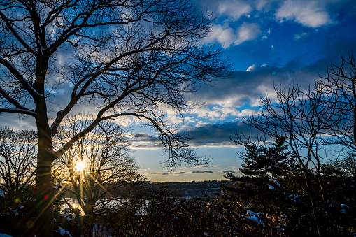 Sunset through the trees, setting over New Jersey.