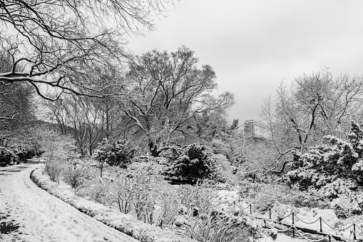 Looking South in Fort Tryon Park. George Washington Bridge in the background.