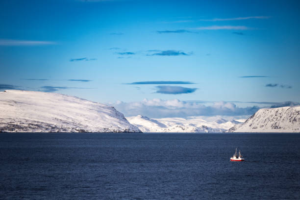 istock Beautiful fjord landscape. 2048414691