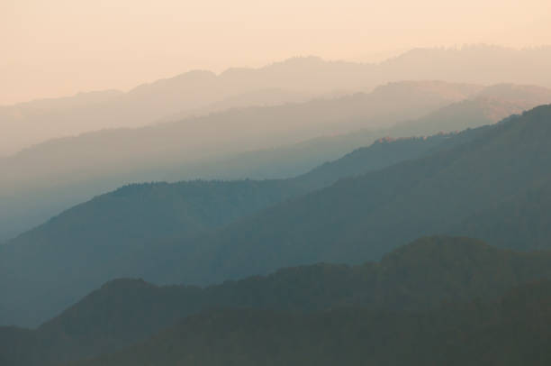 Autumn in Carpathian Biosphere Reserve, view on protected natural beech forest, Carpathians Mountains, Ukraine