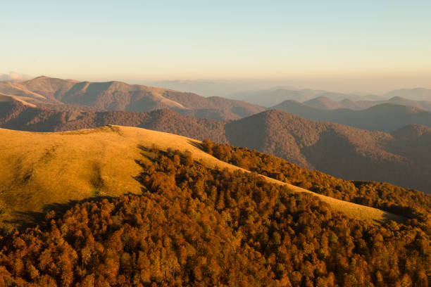 Autumn in Carpathian Biosphere Reserve, view on protected natural beech forest, Carpathians Mountains, Ukraine