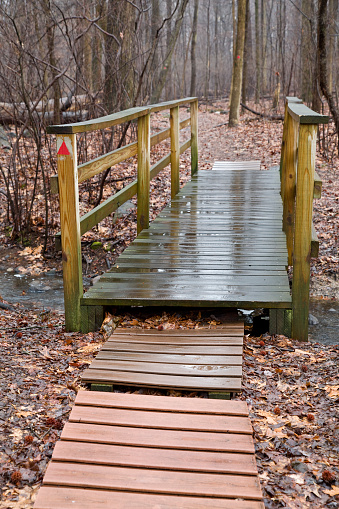 Wooden boardwalk trail in a Public Park on a rainy day.