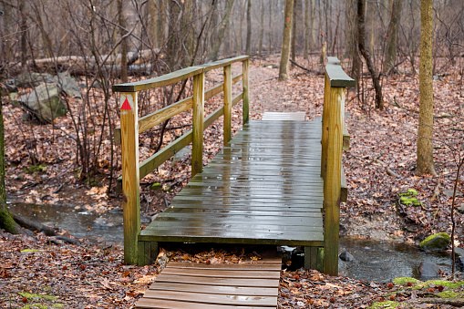 Wooden boardwalk trail in a Public Park on a rainy day.